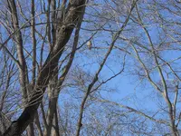 DSCN1942.webp