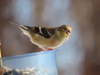 K1600_109.webp