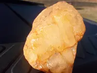Kids and rocks first hunt 2015 026.webp
