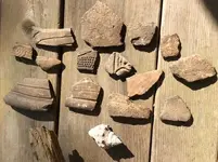 shards.webp