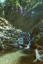 PICT1835.webp