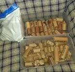 IMAG0434_1.webp