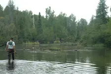 river-1.webp river-1.webp