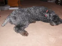 HPIM1791.webp HPIM1791.webp