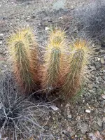 20150126_154549.webp