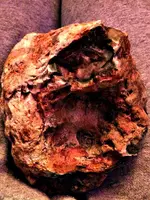 ImageUploadedByTreasureNet.com1423032334.315959.webp