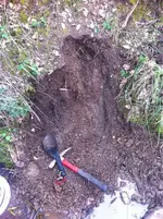 image-717539.webp