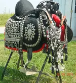 arabian parade.webp