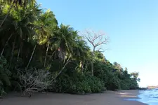 Costa Rica 30 Jan 15 032.webp