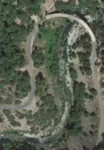 Nancys dowsing.webp