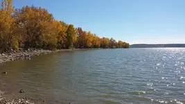Lake.webp