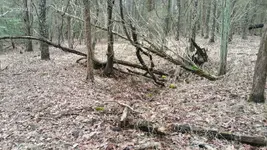 20150315_131406.webp