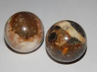 DSCN8570.webp