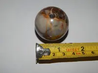 DSCN8574.webp