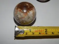 DSCN8575.webp