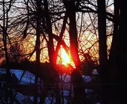 001.webp
