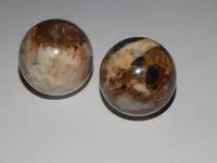 DSCN8569.webp
