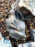 ImageUploadedByTreasureNet.com1423070234.134033.webp