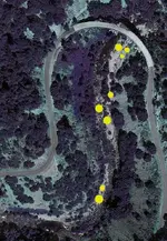 Nancys dowsing.webp
