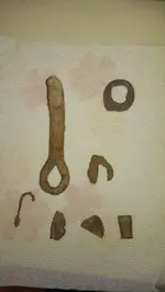IMAG1467.webp