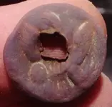 ToastedCWButton.webp