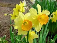 edit_6A.webp edit_6A.webp