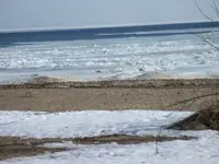 102_8471.webp