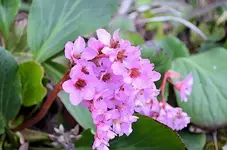 edit_7.webp edit_7.webp