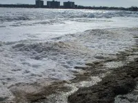 102_8474.webp