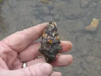 DSCN0141.webp