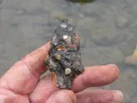 DSCN0143.webp