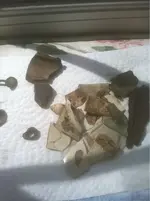 image-2014905402.webp