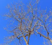 K1600_013.webp