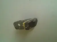 1425054905895.webp