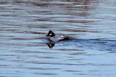 K1600_020.webp