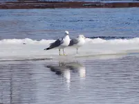K1600_026.webp