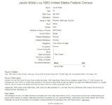 1880 United States Federal Census.jpeg