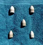 DSCN1547.webp