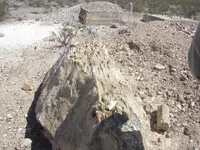DSCN2273.webp
