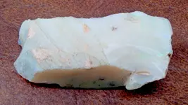 DSC01109.webp