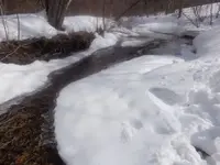 black brook stream 002 (640x480).webp