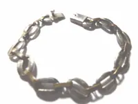 brac1.webp