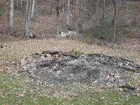 100_1023.webp