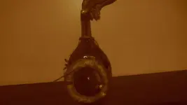 bottles 016.webp