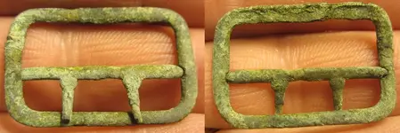 buckle.webp