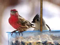012.webp