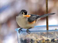 018.webp