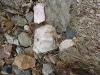 rose quartz tourmaline 003.webp