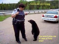 bear profiling.jpg
