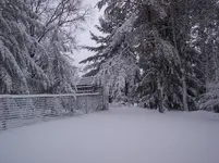 big snow 005.webp big snow 005.webp